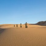 Scenic Desert Tour by Bike - Details that Matter: The Experience Breakdown