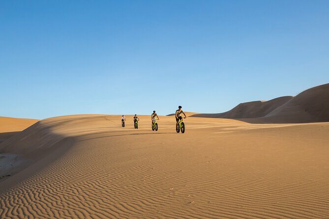 Scenic Desert Tour by Bike - Details that Matter: The Experience Breakdown