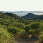Scenic Game Drive Activity - How Does the Itinerary Unfold?