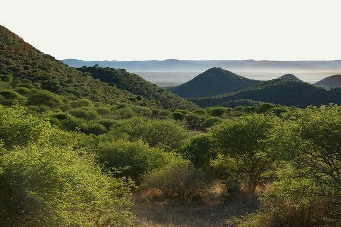 Scenic Game Drive Activity - How Does the Itinerary Unfold?