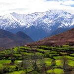 Scenic Wonders: Ourika Valley & Waterfalls Adventure - Who Will Appreciate This Tour?