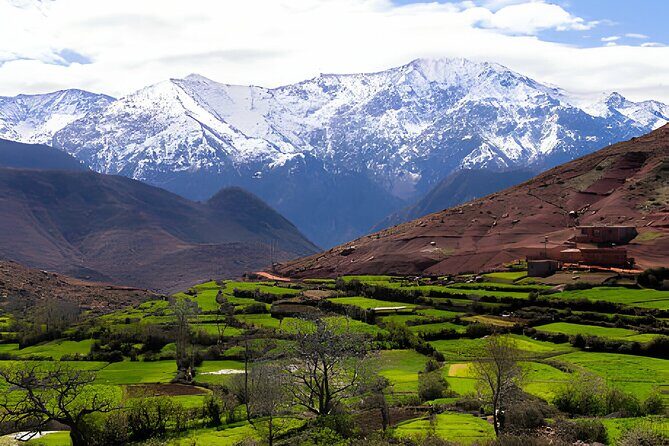 Scenic Wonders: Ourika Valley & Waterfalls Adventure - Who Will Appreciate This Tour?