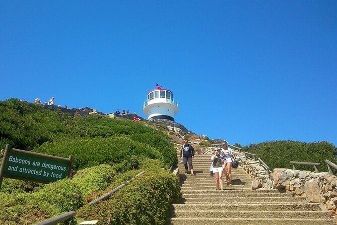 Scheduled Guided Tour to Table Mountain and Cape of Good Hope - The Practical Aspects: Transportation, Cost, and Accessibility