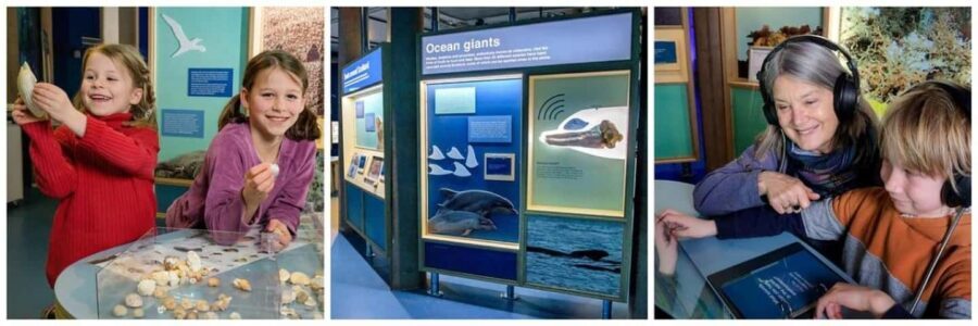 Scottish Seabird Centre: Discovery Experience Entry Ticket - FAQ