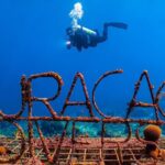 Scuba Beginner Diving and Snorkeling with Lunch From Hurghada - Is This Tour Worth It?