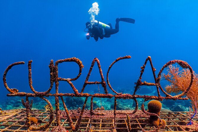 Scuba Beginner Diving and Snorkeling with Lunch From Hurghada - Is This Tour Worth It?
