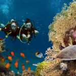 Scuba dive with sharing transfers - Why This Tour Works Well