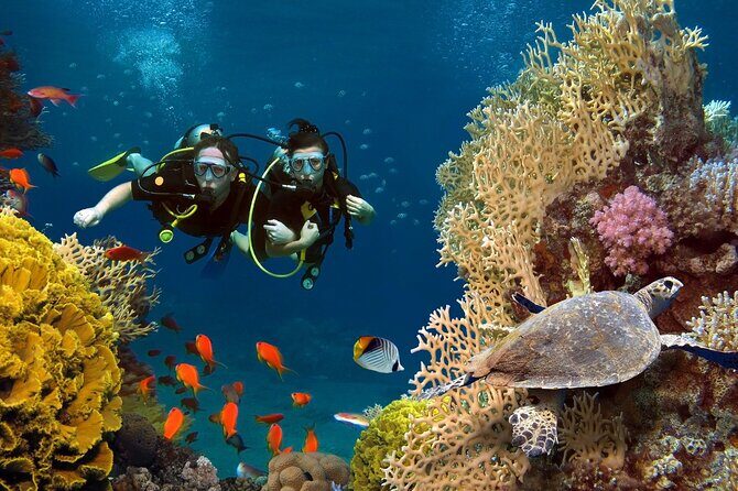 Scuba dive with sharing transfers - Why This Tour Works Well