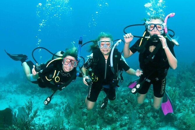 Scuba Diving Activity in Dubai with Hotel Pickup - Practical Details That Matter