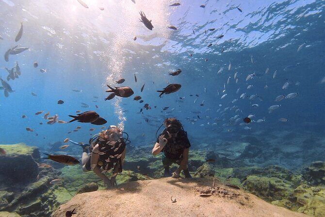 Scuba Diving Experience + Free Edited Video - Booking, Cancellation, and Practical Tips