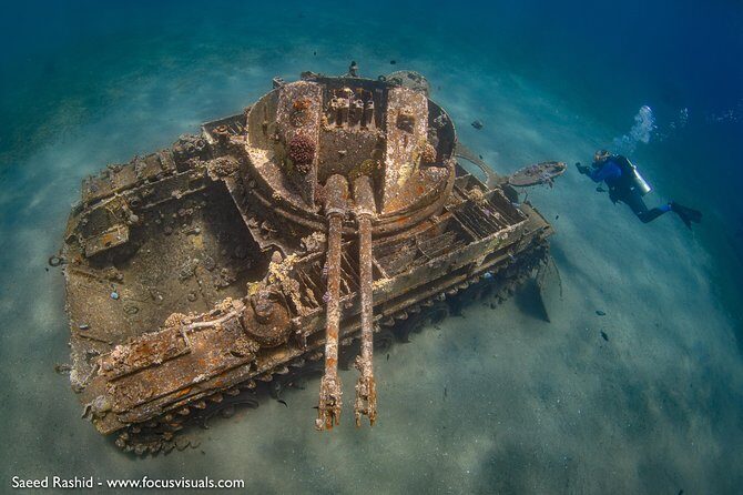 Scuba Diving for Certified Divers - Why This Tour Works Well