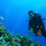 Scuba Diving to Dimaniyat Islands Muscat Oman - Overview of the Dive Experience