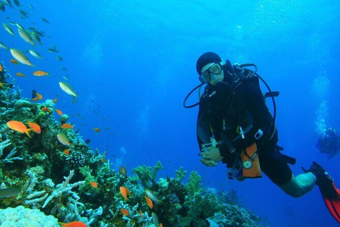 Scuba Diving to Dimaniyat Islands Muscat Oman - Overview of the Dive Experience