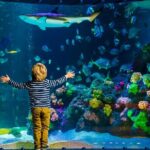 SEA LIFE Timmendorfer Strand Admission Ticket - The Interior Experience: Pros and Cons