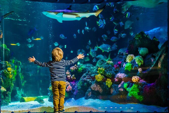 SEA LIFE Timmendorfer Strand Admission Ticket - The Interior Experience: Pros and Cons