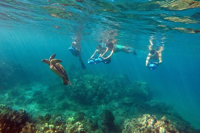 Sea Scooter Snorkeling Guided Tour - Wailea Beach - Important Practical Details