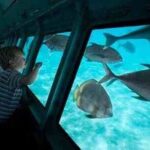 Sea Scope Cruise with Snorkeling Adventure in Hurghada - Who Would Enjoy This Tour?