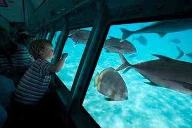 Sea Scope Cruise with Snorkeling Adventure in Hurghada - Who Would Enjoy This Tour?