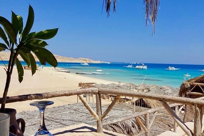 Sea Trip Orange Bay Island & Professional Scopa Diving -Hurghada - Detailed Breakdown of the Experience