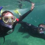 Seal Swimming Activity in Plettenberg Bay - The Location & Accessibility