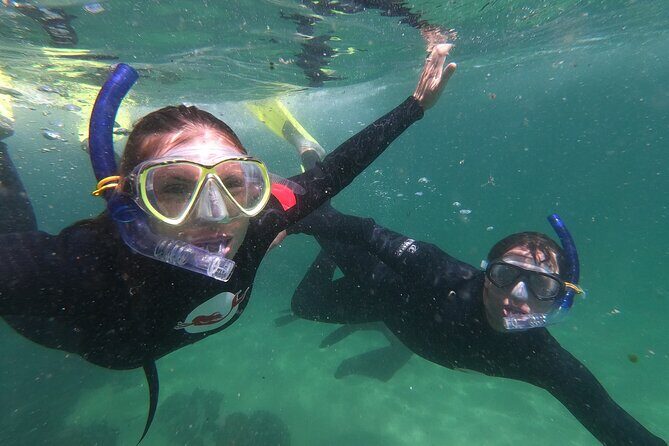 Seal Swimming Activity in Plettenberg Bay - The Location & Accessibility
