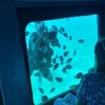 Seascope Submarine Hurghada - Who Should Consider This Tour?