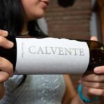 Secrets of Wine: Immersion in the Winery and Professional Tasting - Practical Details and Logistics