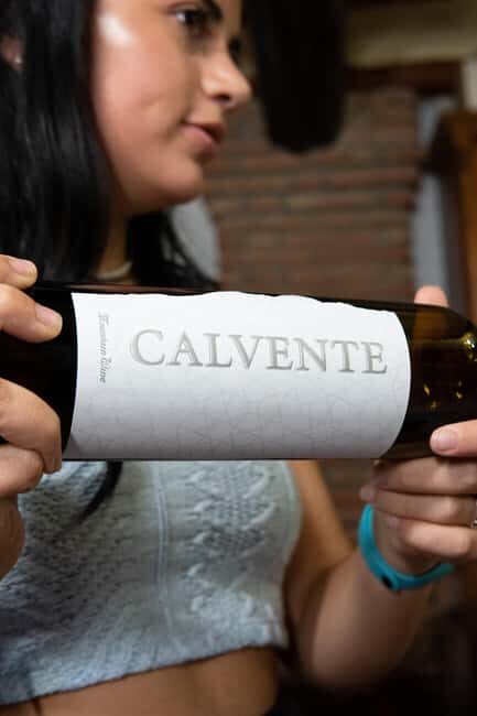 Secrets of Wine: Immersion in the Winery and Professional Tasting - Practical Details and Logistics