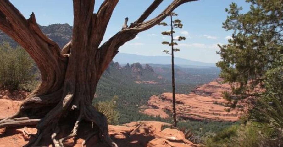 Sedona: PRIVATE 2-Hour Colorado Plateau Scenic Jeep Tour - Who Will Love This Tour?