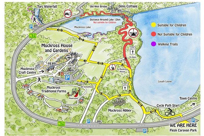 Self-Guided Bike Tour of Killarney National Park, Muckross Gardens & Waterfall - An In-Depth Look at the Killarney Self-Guided Bike Tour