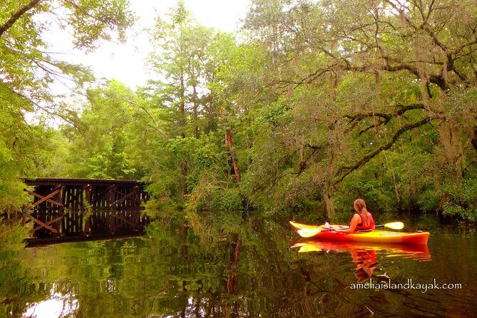 Self Guided Family Friendly Kayak Rental Experience Old Florida - What’s Included and Practical Details