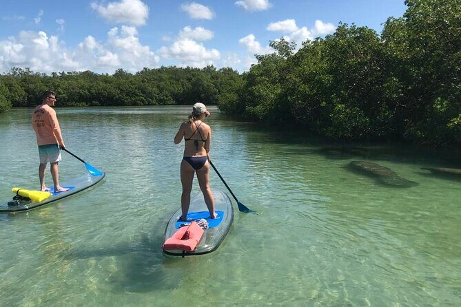 Self-Guided Island Tour: CLEAR/Standard Kayak, SUP-Bonita Springs - Who Would Love This?