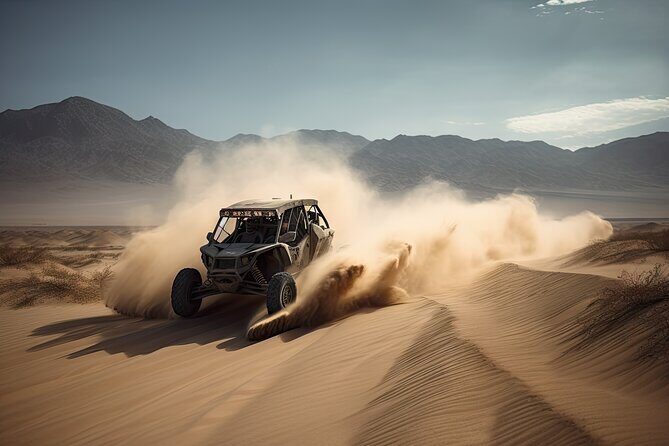 Self-Ride Polaris Desert Buggy Tour With Free Desert Safari - The Driving Experience: What to Expect
