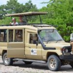 Selous Game Reserve Road Trip- Boat Safari, Game Drive And Walk Safari - Insights from Past Travelers