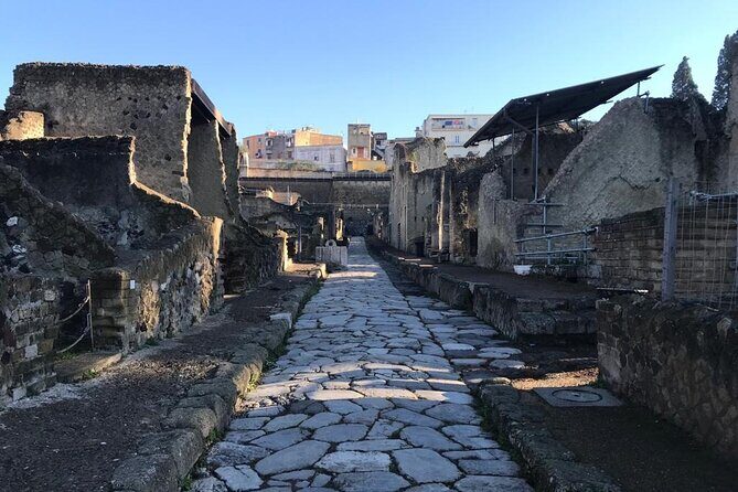 Semi-Private Guided Small-Group Tour of Herculaneum - In-depth Look at the Itinerary