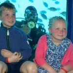 Semi-Submarine 2-hours Snorkeling with Transfer from Hurghada - The Experience and What You’ll See