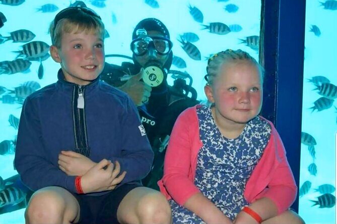 Semi-Submarine 2-hours Snorkeling with Transfer from Hurghada - The Experience and What You’ll See