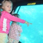 Semi Submarine Experience sea Trip With transfer from Sharm - The Itinerary in Detail