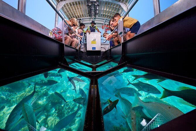 Semi Submarine Hurghada - Practical Tips for Your Tour