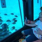 Semi Submarine Trip 2 Hours With Transfer from Sharm - Logistics and Group Size
