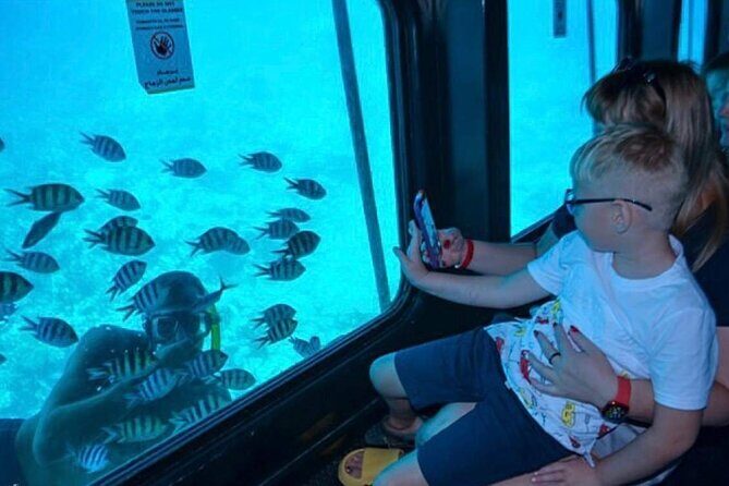 Semi Submarine Trip 2 Hours With Transfer from Sharm - Logistics and Group Size