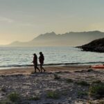 Senja: Guidet Evening Kayak Cruise - Who Will Love This Tour?