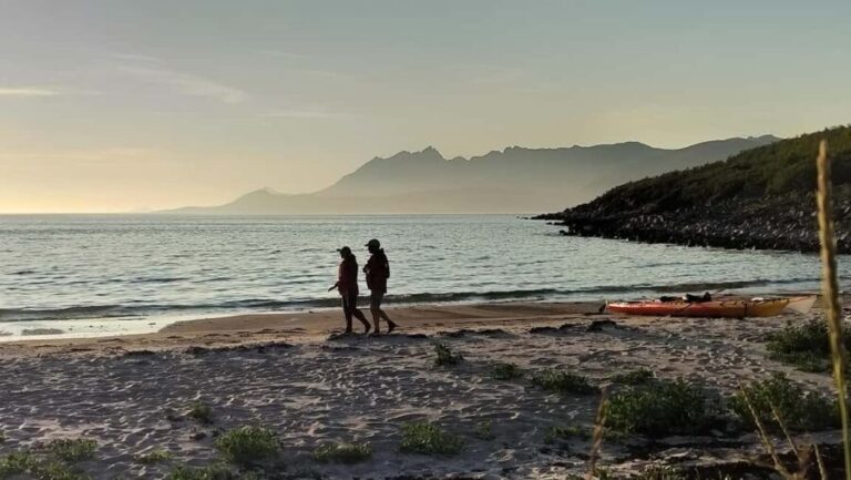 Senja: Guidet Evening Kayak Cruise - Who Will Love This Tour?