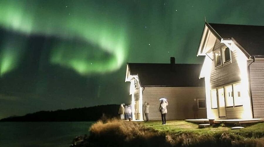 Senja: Wood-Fired Sauna Barrel - Who Will Love This Experience?