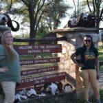 Serengeti Day Trip Safari From Mwanza Tanzania - Who Is This Tour Best Suited For?