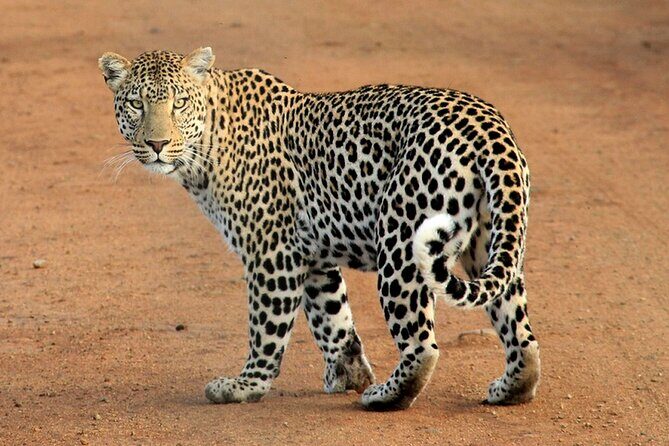 Serengeti & Ngorongoro 3 Days Budget Safari - The Itinerary in Detail