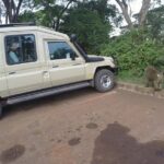 Serengeti Safari with Sirikwa Travel - Practical Aspects and Value
