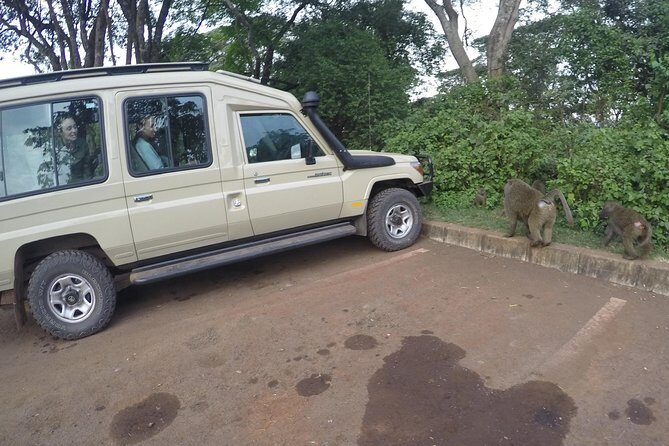 Serengeti Safari with Sirikwa Travel - Practical Aspects and Value