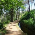 Serra dÁgua: A Scenic Levada Walk - The Itinerary Breakdown