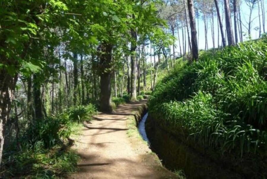 Serra dÁgua: A Scenic Levada Walk - The Itinerary Breakdown